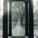 View of the Elms From the Grange, 1910